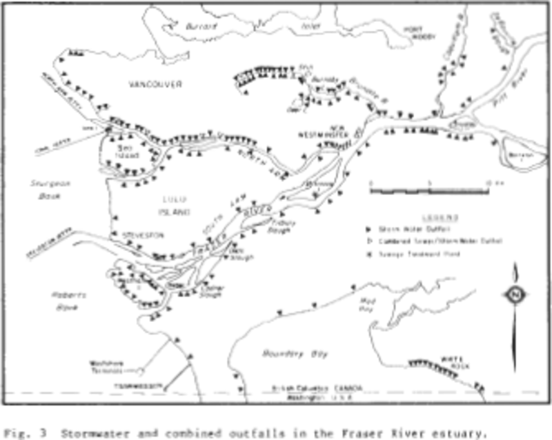 A review of fish habitat issues in the Fraser River system