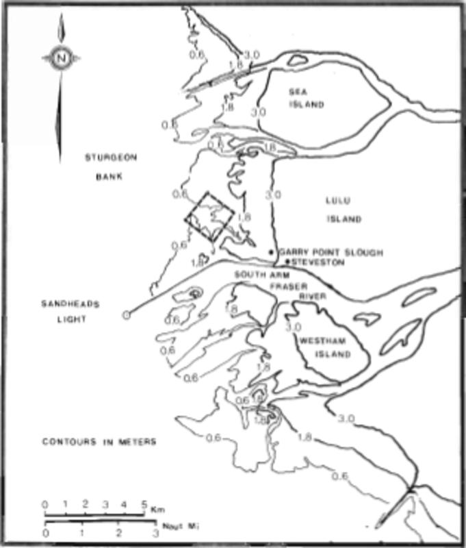 overview
