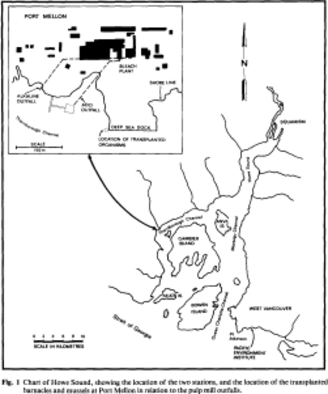 overview